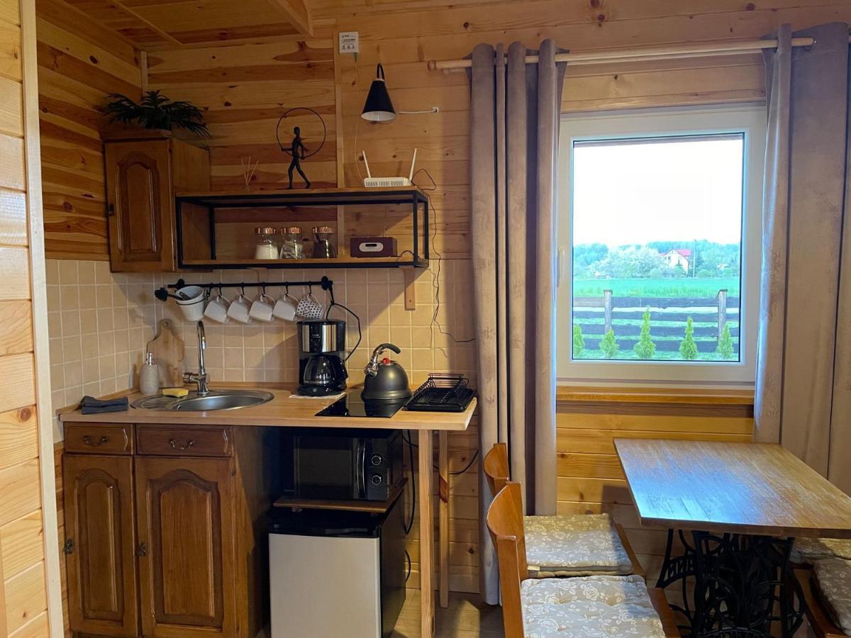 Villa Bella Przystan à Zator Extérieur photo